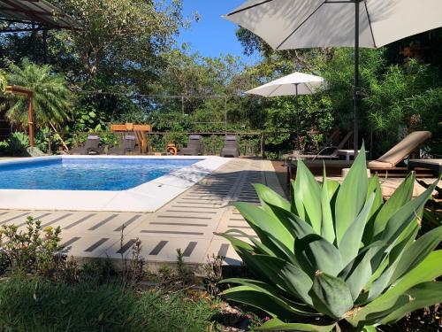 Surrounding environment, ARANJUEZ LOFTS Santa Ana in Santa Ana