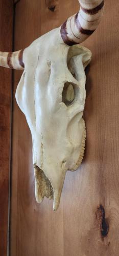 Curated Lux Treetop Sundance Ski cabin Curated Lux Treetop Sundance Ski cabin