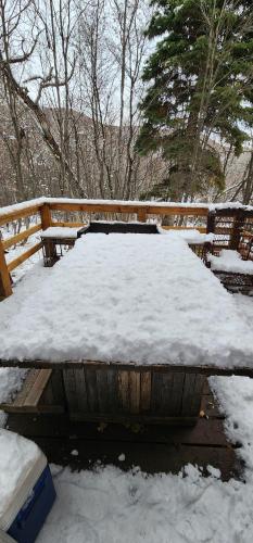 Curated Lux Treetop Sundance Ski cabin Curated Lux Treetop Sundance Ski cabin