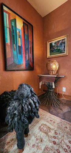 Curated Lux Treetop Sundance Ski cabin Curated Lux Treetop Sundance Ski cabin