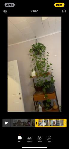 Convenient location near Manhattan easy trip to Times Square Convenient location near Manhattan easy trip to Times Square