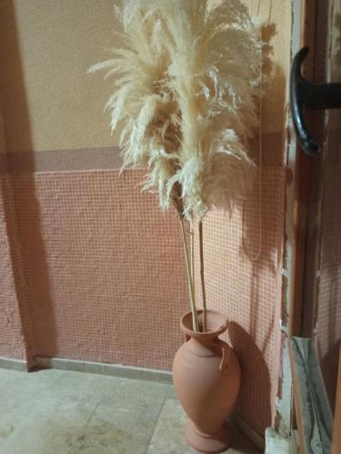 Gilmour House, Antalya (photo 5)
