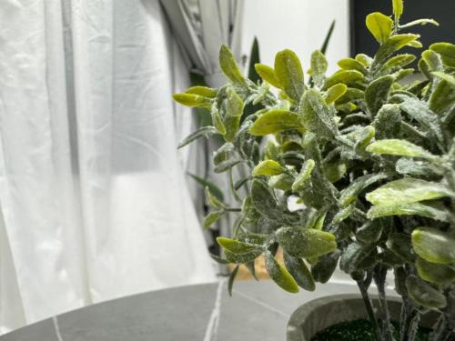 Cubic Botanical by ANCUBIC, Bangsar South, KL by HomeTaric Cubic Botanical by ANCUBIC, Bangsar South, KL by HomeTaric