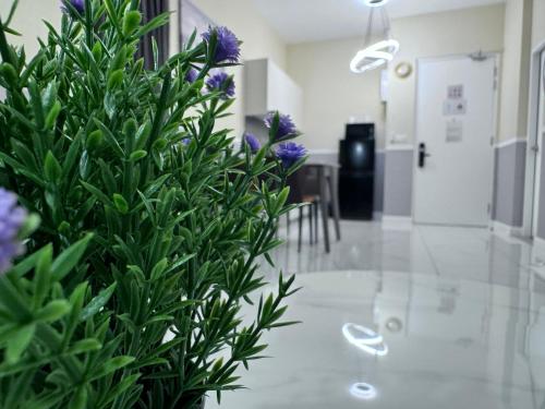 Cubic Botanical by ANCUBIC, Bangsar South, KL by HomeTaric Cubic Botanical by ANCUBIC, Bangsar South, KL by HomeTaric