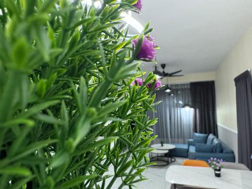 Cubic Botanical by ANCUBIC, Bangsar South, KL by HomeTaric Cubic Botanical by ANCUBIC, Bangsar South, KL by HomeTaric