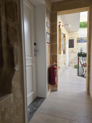 Luciano Valletta Boutique - image 9