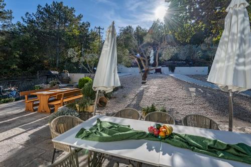 حديقة, Villa Viktor, a wonderful rustic villa close to the beach in Kranjci