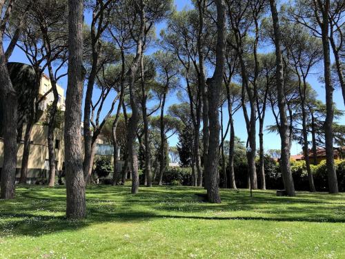 Spacious and bright studio flat in Rome
