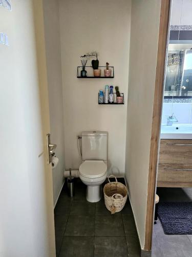 Air-conditioned house 3 bedrooms BBQ Terrace, Toulouse (photo 8)