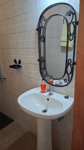 Standard Single Room image 7