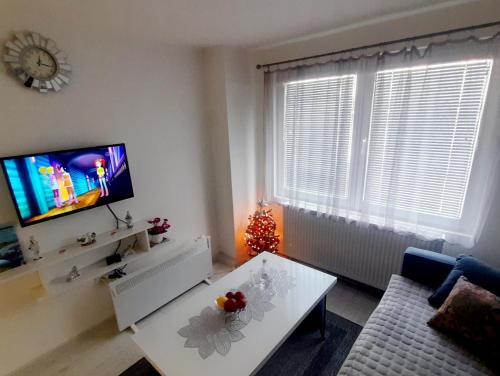 Apartman MiSSS in Pale