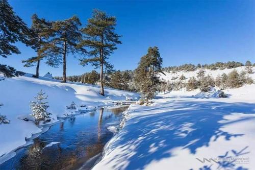 Cottage Vodice 2 Zlatibor - image 5