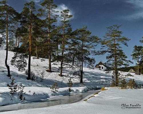 Cottage Vodice 2 Zlatibor - image 3