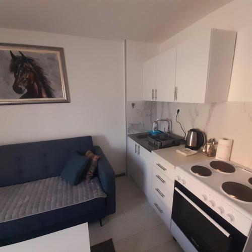 Apartman MiSSS in Pale