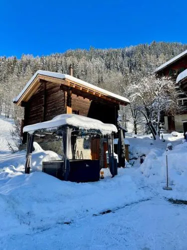 Walliser Stadel in Fieschertal, Schweiz