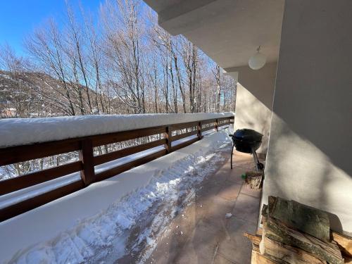 Black Fox in Prevalle