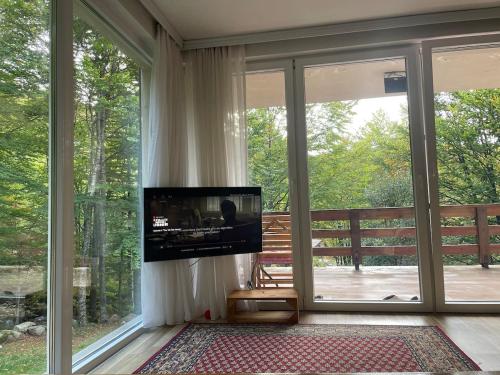 Black Fox in Prevalle