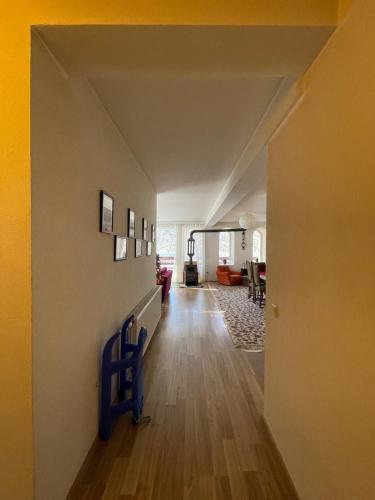 Black Fox in Prevalle