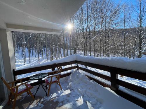 Black Fox in Prevalle