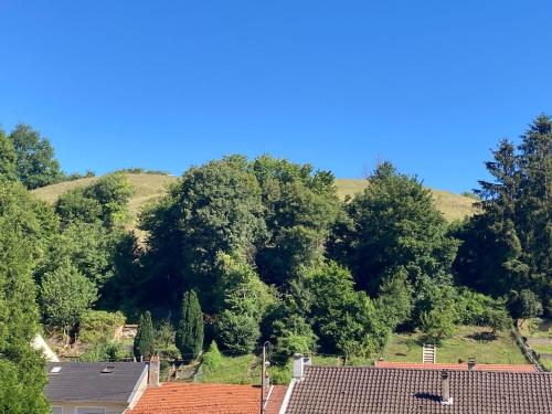 Du vert au cœur de la vallée de la fensch gîte à louer Sancy