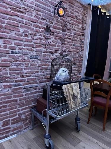 Le Refuge mysterieux d'Harry proche Gare Toulouse, Toulouse (fotografie 9)