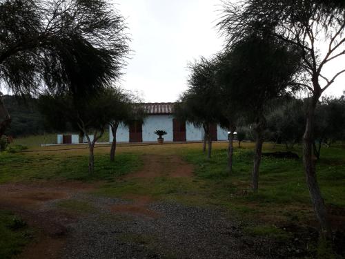  Appartamento I Salici I in Tertenìa