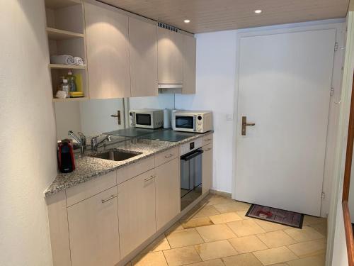  Apartment near Laax Lake in Laax