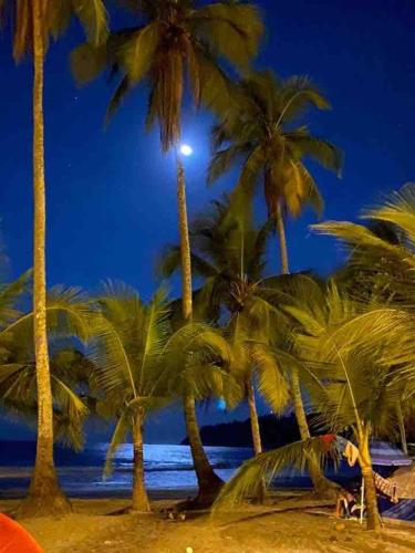 Casa Monos in Quepos