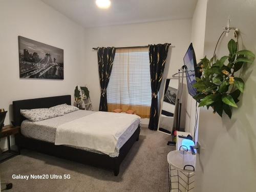 Modern One room Flat in the Beautiful Las Vegas City Modern One room Flat in the Beautiful Las Vegas City