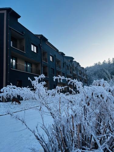 Apartmán Dole v Dole (Apartman Dole v Dole) in 賽爾妮道夫