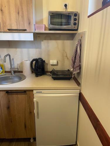 Apartman Vuk, Crni Vrh - Stara planina in Crni Vrh