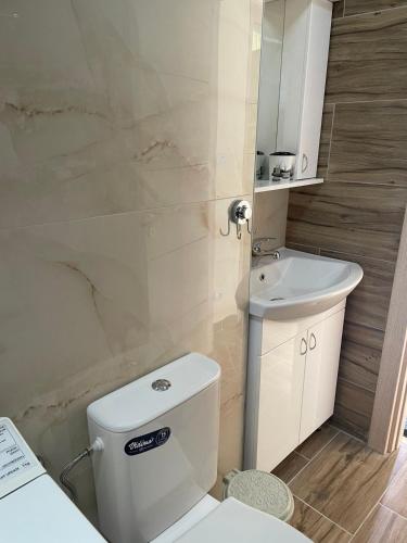 Apartman Vuk, Crni Vrh - Stara planina in Crni Vrh