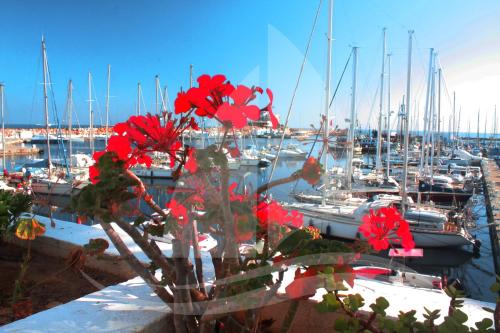 Marina Cap Monastir- Appart'Hôtel