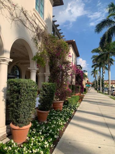 Tropical Elegant Palm Beach 2 Bedroom 2 Bathroom Suite - image 14