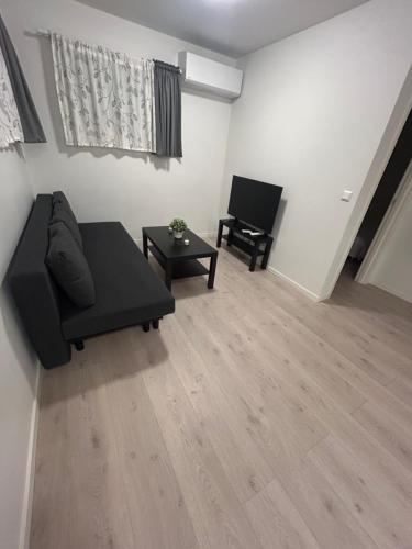 Temis apartment, private new 1 bed room and 1 living room with sofa bed and lagre kitchen, share with nobody, Oslo (photo 9)