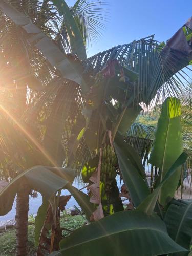 Apkārtne, In the Tropics by the Sea in Punta Gorda