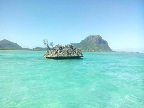 Villa Azure Flic-en-Flac 5 min de la plage Villa Azure Flic-en-Flac 5 min de la plage