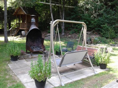 Surrounding environment, Stone Ridge Chalet Bed n Breakfast in Algonquin Highlands (ON)