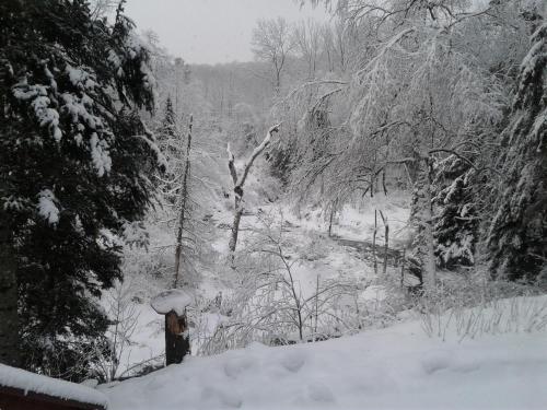 Surrounding environment, Stone Ridge Chalet Bed n Breakfast in Algonquin Highlands (ON)
