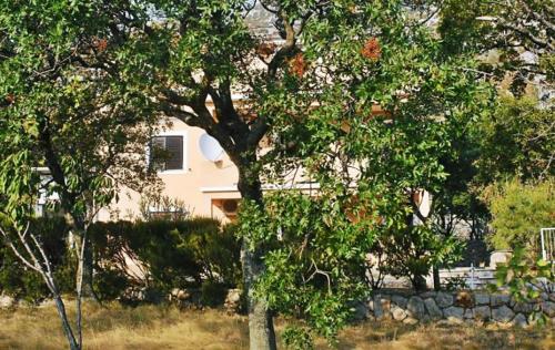  Apartment King 1424 in Ribarica