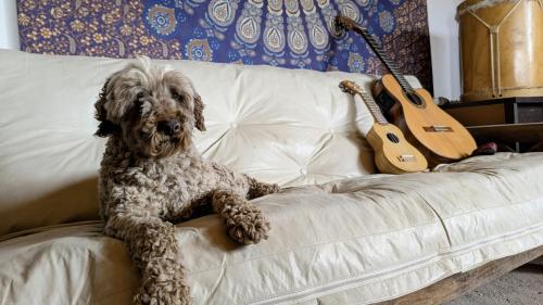 Paramitas Hostel de montaña Paramitas Hostel de montaña