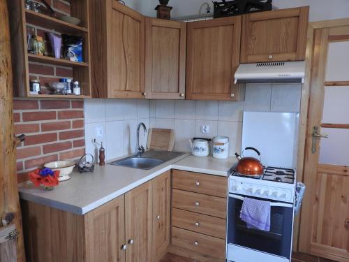 virtuve, Agroturystyka Biebrzańska Kraina (Agroturystyka Biebrzanska Kraina) in Gugny