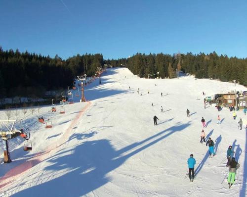 Apartman u Areny NMnM in Nove Mesto Na Morave
