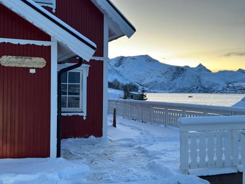 Cozy house by the sea in Fjordgard