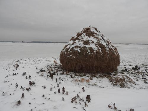 Agroturystyka Biebrzańska Kraina (Agroturystyka Biebrzanska Kraina) in Gugny
