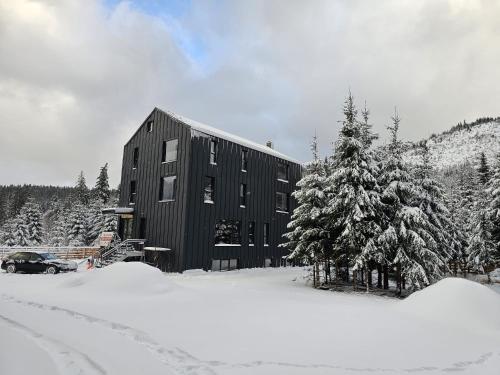Double room with Balcony Transalpina Ski Resort - DBL2 in Obârşia Lotrului