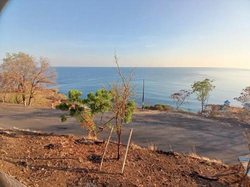 Vaade, DejaVu Coffee and Homestay in Maumere