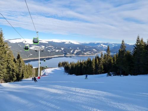 Double room with Balcony Transalpina Ski Resort - DBL1 in Obârşia Lotrului