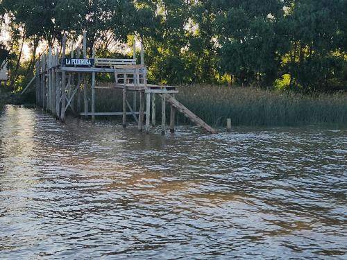 La poderosa delta tigre in Tigre