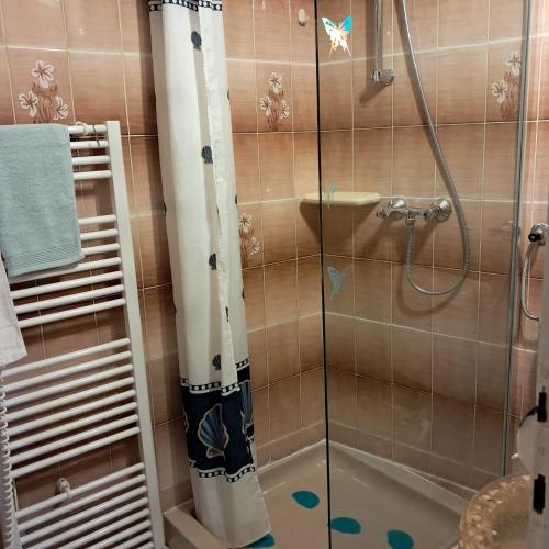 One-Bedroom Apartment image 7